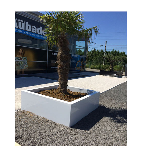 jardiniere cubique blanc pour palmier